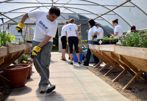 Image: Corporate volunteers supporting a local non profit growing scheme