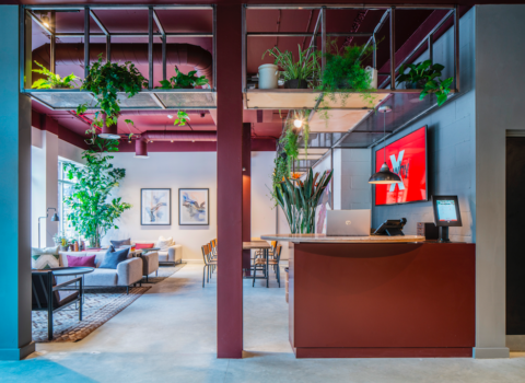 a modern office space with plants, maroon walls