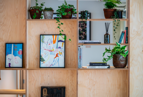 shelves on a wall with plants and paintings
