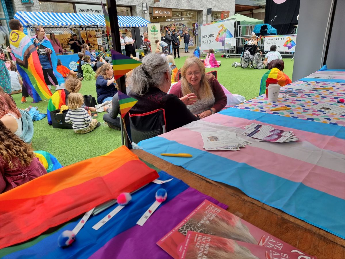 a table with rainbow flags and pink and blue flags with people chatting just in front. In the backgrund people are wearing rainbow flags and standing or sitting on grass