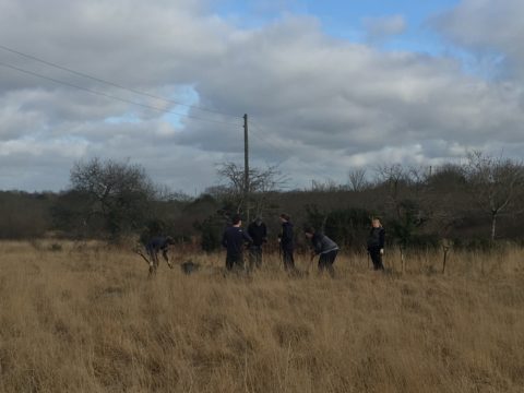 a group of 6 people are standing in a plain in the distance, a few meters away from the camera. They are doing manual work, digging in the ground with some of them standing. The sky is grey with clouds and the scenery is tall brown grass with trees without leaves behind the people.