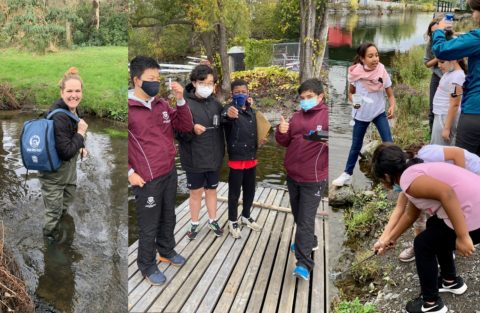 a collage of three photos. On the left a women wearing waterproof pants and boots stands knee deep in water, smiling to the camera. In the middle a group of 4 people holding testing tubes. On the right a group of young people by the water looking at the floor.