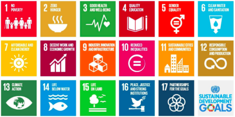 Sustainable Development Goals 